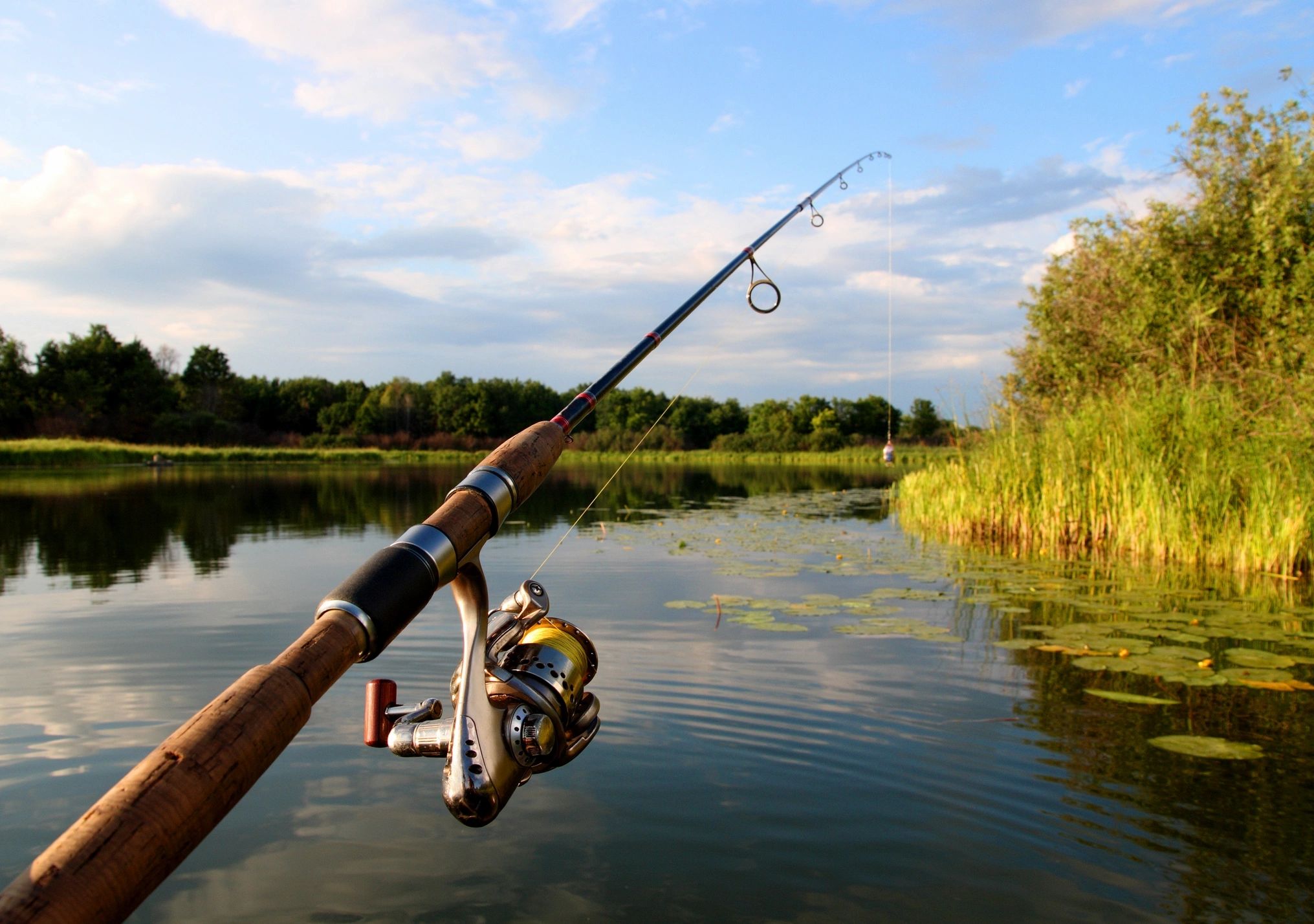 Sashas Walleye Spinners