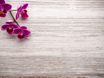 a orchid in the upper right hand corner laying n a light brown and white colored floor