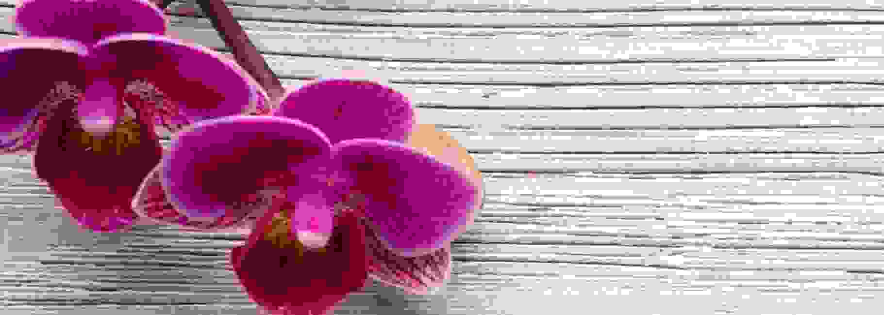 Signature Salon & Day Spa in Nampa - Signature Salon & Day Spa