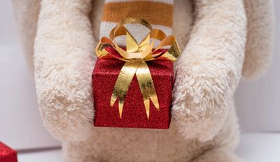 stuffed animal with a wrapped gift