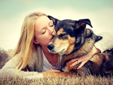 Beloved companions deserve to die with dignity using in-home euthanasia
