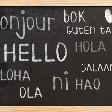 alt="Business languages on chalkboard."