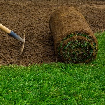 Installing new turf and providing a new green lawn, Gardener, Gardening, Garden Maintenance,