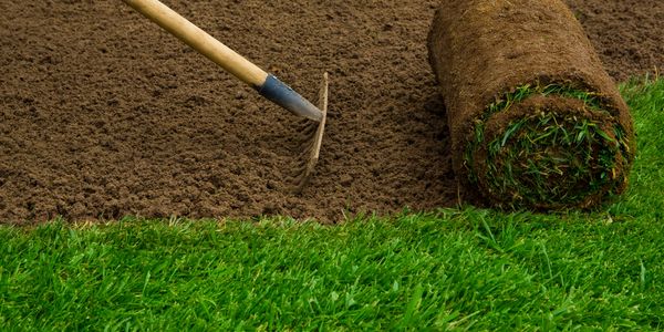 Sod installation 