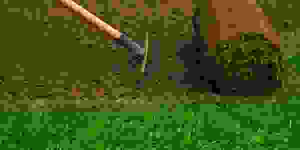 image261