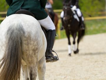 horse stall, equestrian, farm, boarding, lesson, horseback riding, facility, stall, training, indoor