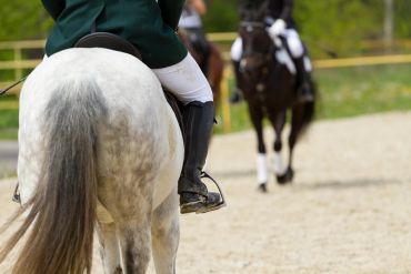 A rider on a white horse preparing to follow another horse in an outdoor arena.