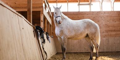 RMHTA Equine Consignment