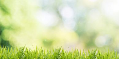 Family Friendly Resort | Resort near Pune | Resort Near Bhor | Party Lawn Bhor | Weekend Getaway 