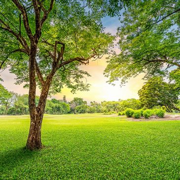 beautiful landscape maintained 