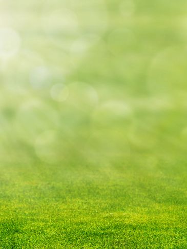 Green grass field with a soft, blurred background of light bokeh.