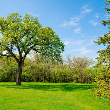 Lawn care mowing, edging, mulching, planting leaf  clean up in Deltona, DeBary and Orange City, Fl 