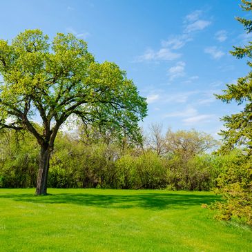 lawn mowing yard cleanup Greenville Mississippi