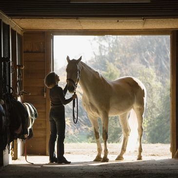 horse and woman near barn enterance