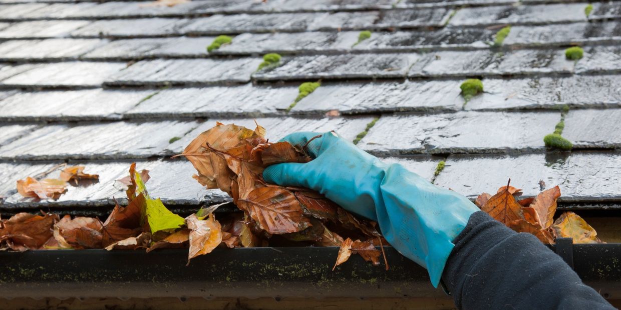 Hand cleaning out a gutter that is full of leaves