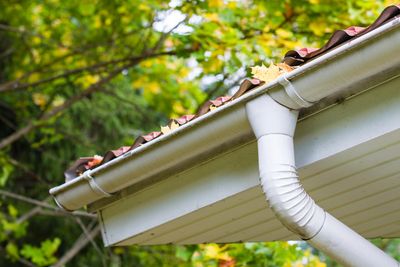 This gutter is full of autumn leaves and needs a clean to prevent a blockage.