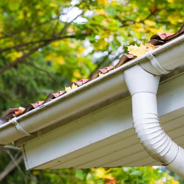 White gutters and downspout filled with leaves