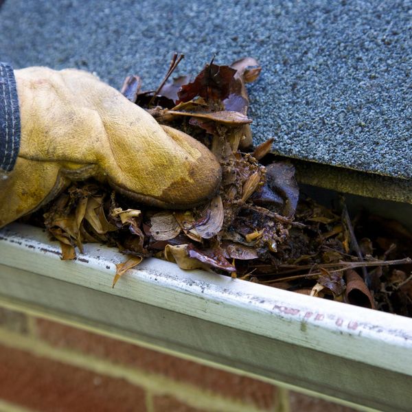 Scooping out leaves from a gutter