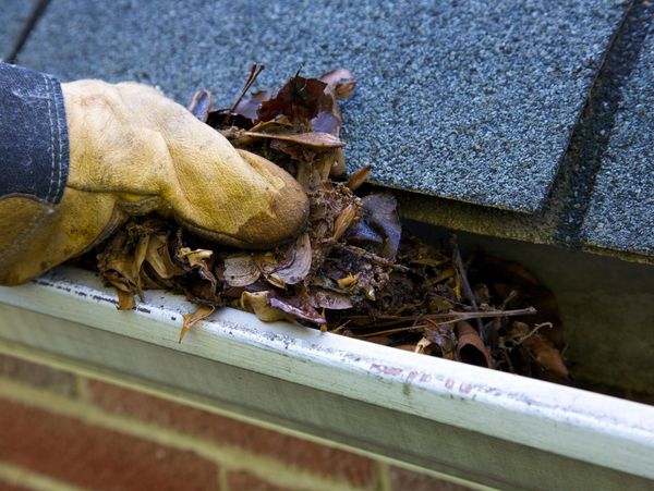 Gutter cleaning