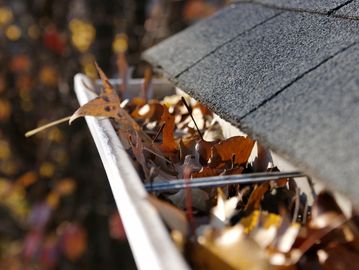Professional Gutter Cleaning Services by Window Wranglers in Prescott, Arizona