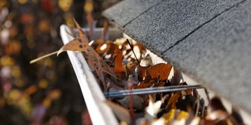 Close-up of a gutter filled with autumn leaves on a house roof.