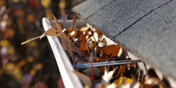 Gutters need cleaning 