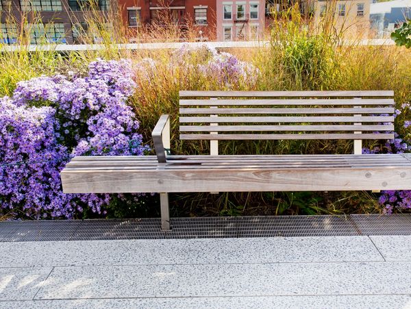 Wooden bench with flowers in the background.