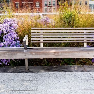 A pretty field of flowers behind a bench