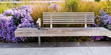 bench in front of flowers