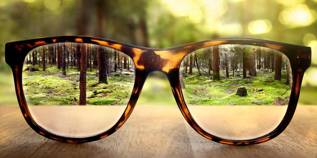 eyeglasses make the trees easier to see