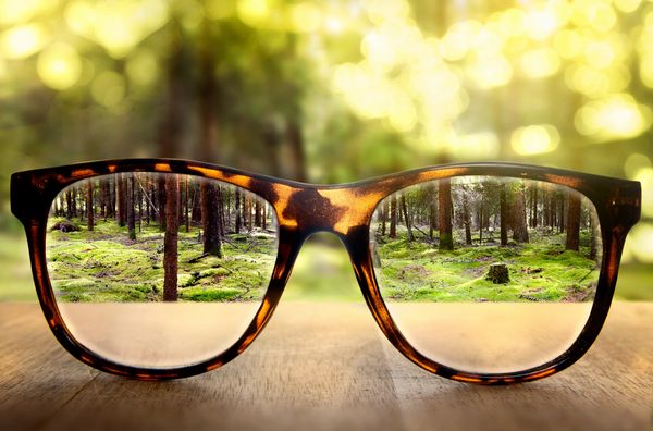 looking at a forest through a pair of eye glass where the forest has become clearer