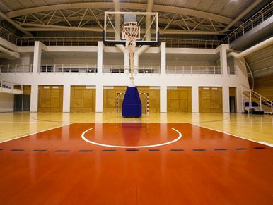 Empty indoor basketball court with polished wooden floor and hoop.