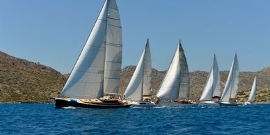 Image of sailboats on the water