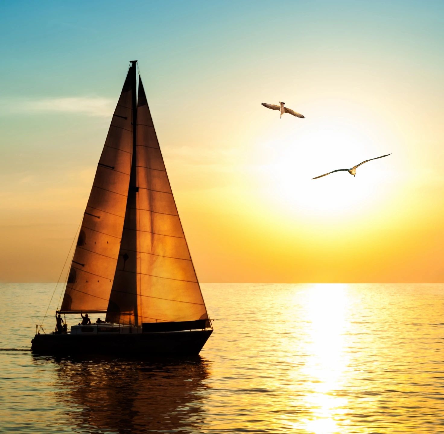 Sailboat gliding on calm sea at sunset with birds flying nearby.