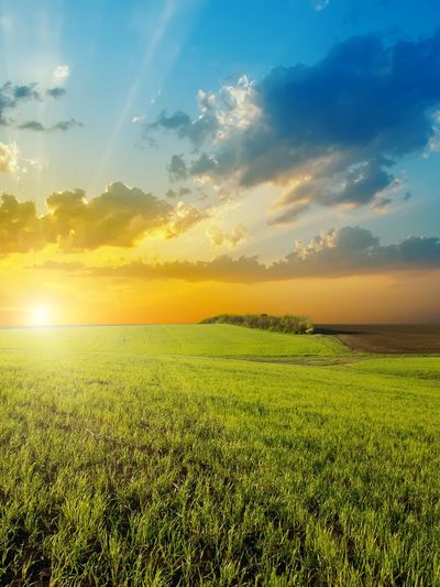 Coaching ADHD Toronto Mississauga Markham North York Thornhill Richmond Hill 