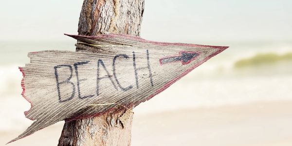 A tree with a Beach sign and arrow. Ocean City, MD | Beach Life | Sunset Island