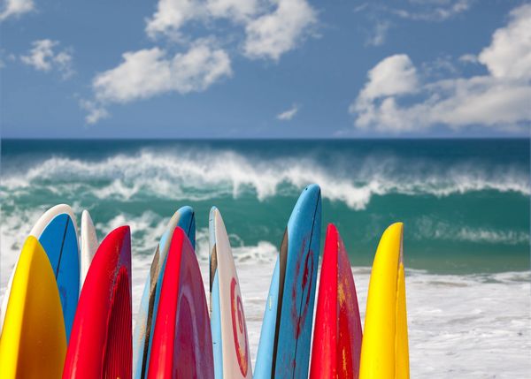 Colorful surfboards lined up on the beach with ocean waves in the background.