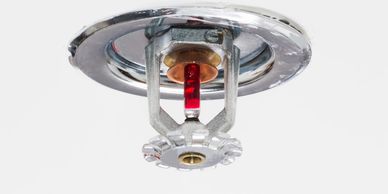 Fire Sprinkler