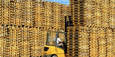 Pallets are reusable and stack well to save space.
Heat Treated Pallets meet ISPM 15 Export Specific