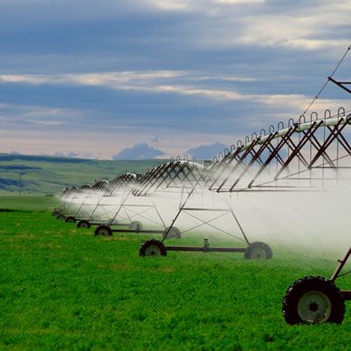Irrigation system watering a green farmland under a cloudy sky.