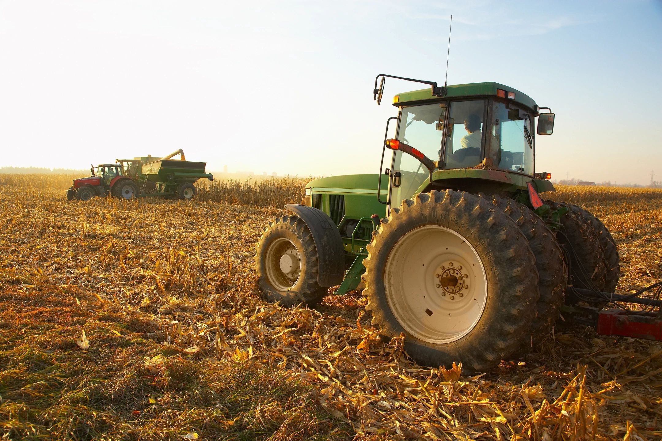 Green tractor in a wheat field