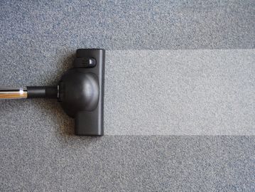 A vacuum head cleaning a section of carpet.