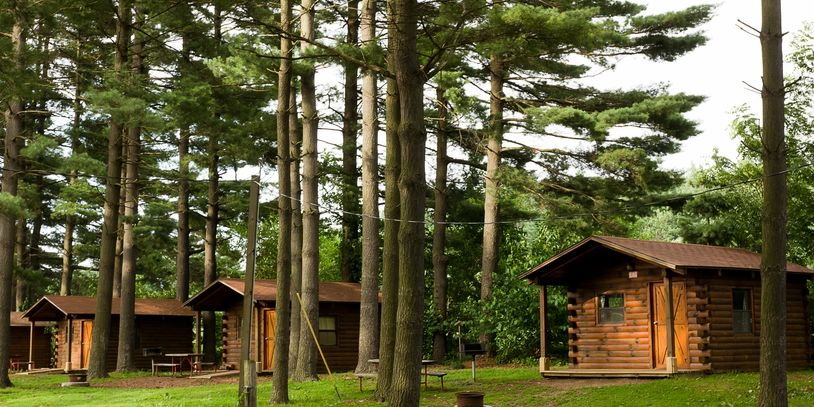 Cozy wooden cabins nestled among tall pine trees in a lush forest.