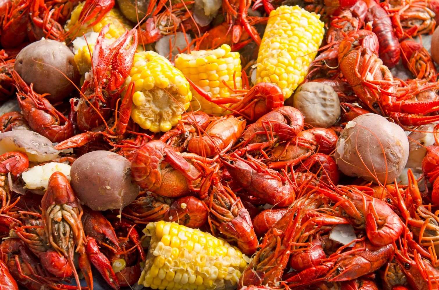 Crawfish