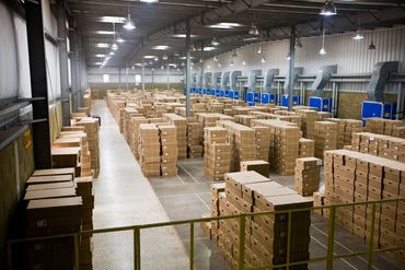 Warehouse filled with stacks of cardboard boxes organized in rows.