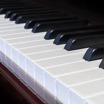 Piano keys offer a world of musical adventures.