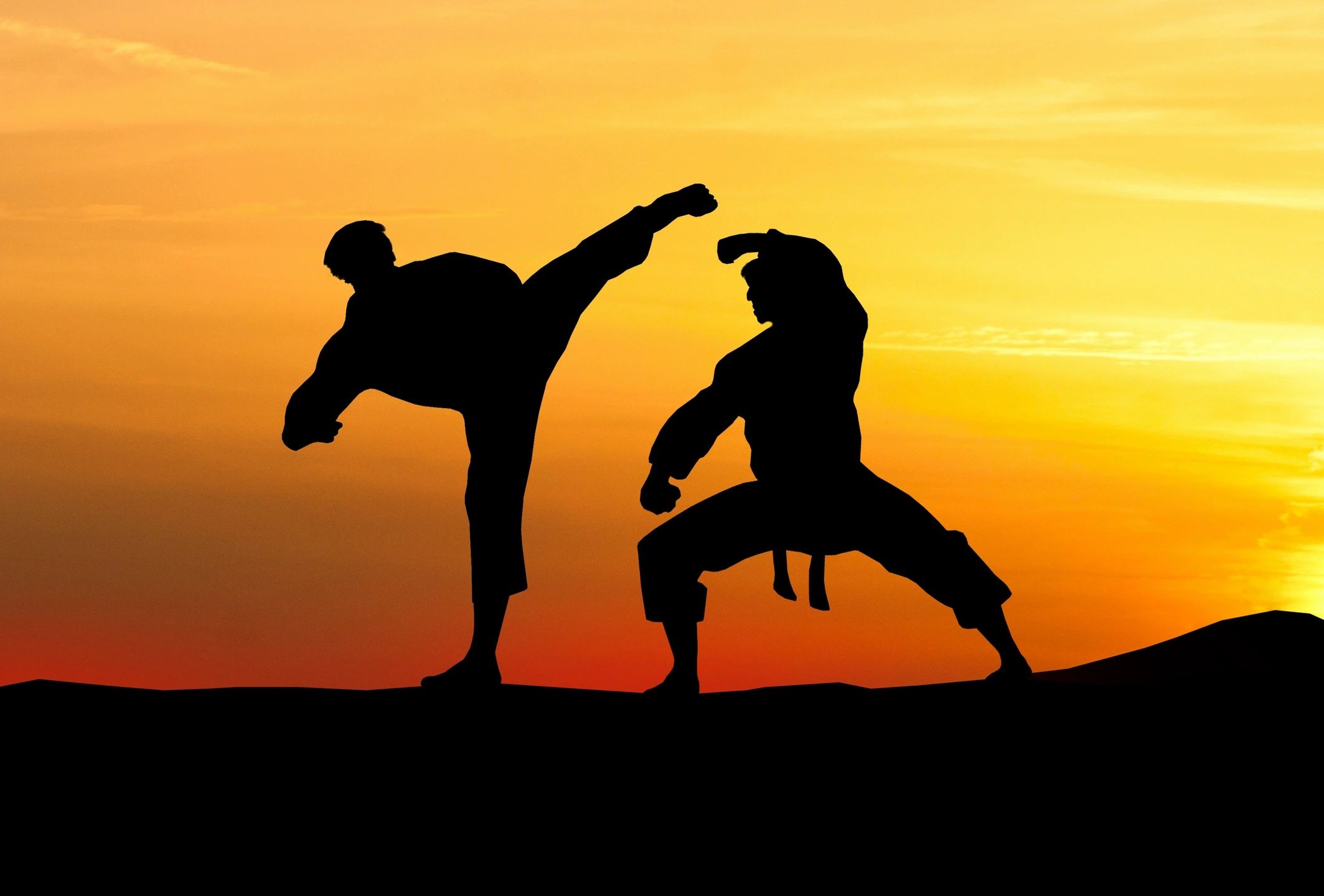 Kenpo Karate martial arts self defence