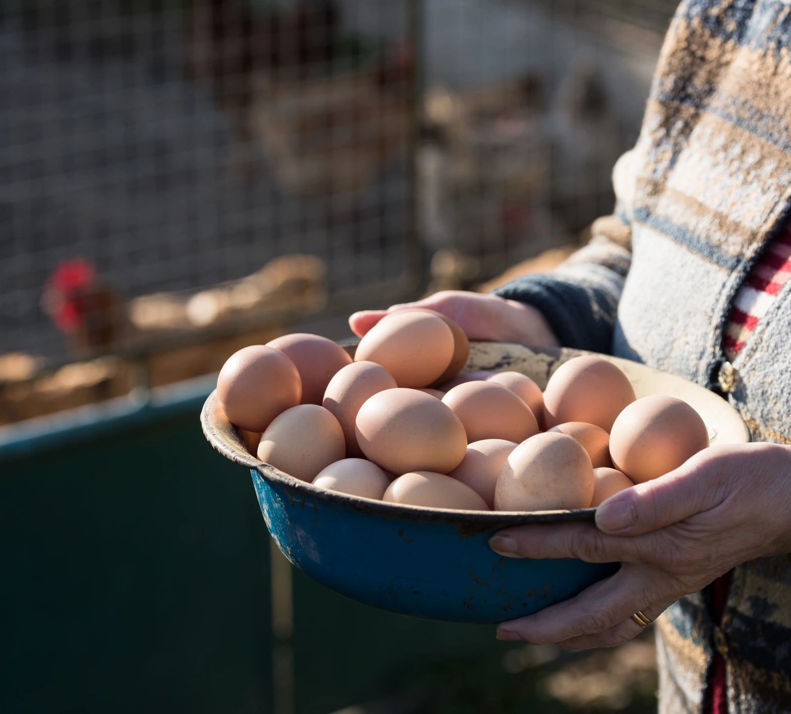 bowl of eggs