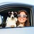 Woman & dog in a car, looking out of an open window, both wearing sunglasses