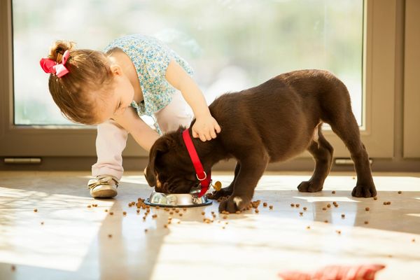 Child with puppy